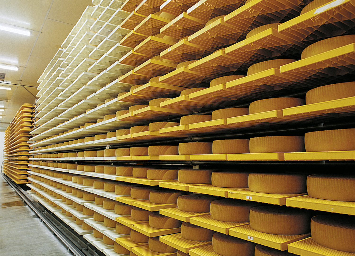Galerie_4.jpg